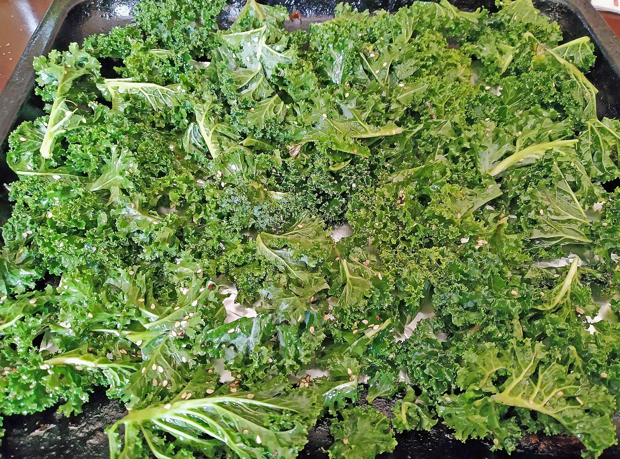 Curly Kale ontray