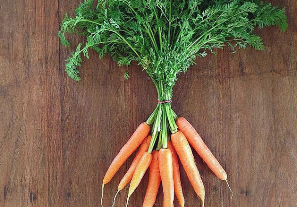 baby carrots final